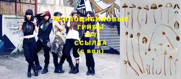 хмурый Алексеевка