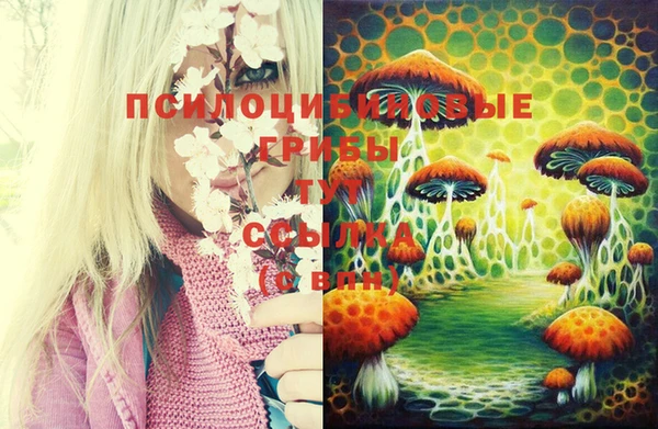 хмурый Алексеевка