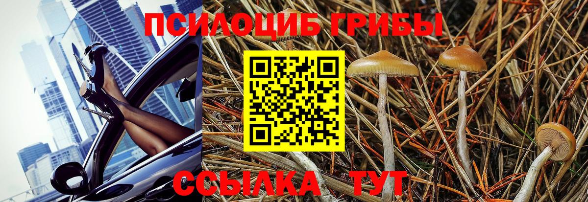 Галлюциногенные грибы мицелий Тихвин