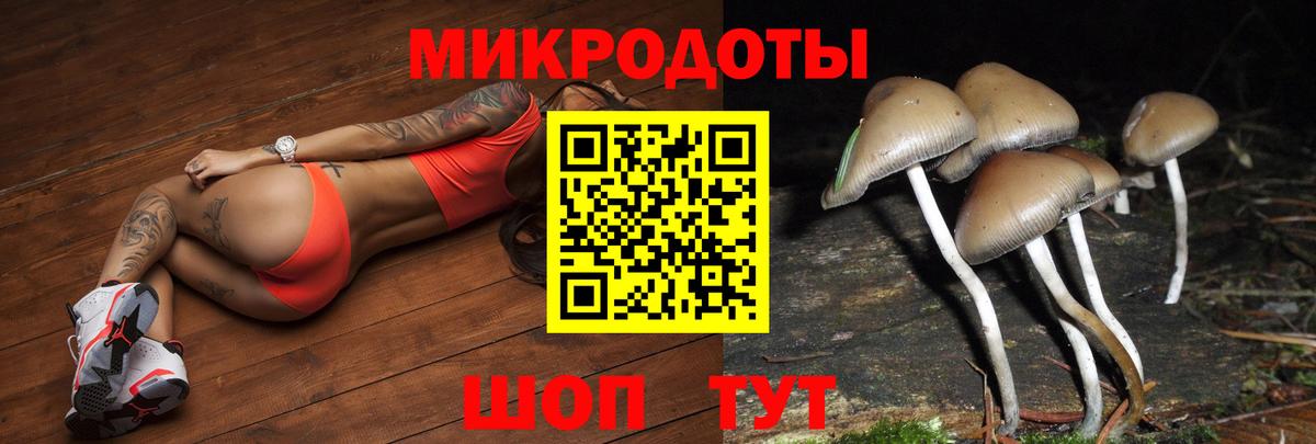 Тихвин  Галлюциногенные грибы ЛСД  Вход с VPN 